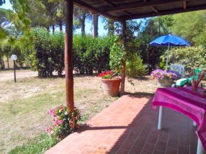 Agriturismo a Castagneto Carducci - Appartamento vacanze Azienda La Cesarina