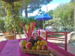 Agriturismo a Castagneto Carducci - Appartamento vacanze Azienda La Cesarina