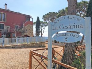 Agriristoro La Cesarina Castagneto Carducci - Cucina aperta tutto il giorno